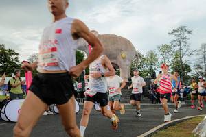 BIB: 
                            <button type="button" onclick="openModal(26528279)" class="btn btn-primary btn-sm float-right btn-popup" data-toggle="modal" data-target=".modal-high-quality">
                        <i class="fas fa-shopping-cart"></i> Add to Cart
                    </button>
                                            <button type="button" onclick="isThisMe(26528279, true)" class="btn btn-success btn-sm float-right btn-popup btn-isme hidden" data-toggle="tooltip" data-placement="bottom" title="นี่คือรูปของคุณใช่ไหม คลิกที่นี่เพื่อเอาเข้าอัลบั้ม">
                        <i class="fas fa-plus"></i> Add to album
                    </button>
                    <button type="button" onclick="isThisMe(26528279, false)" class="btn btn-warning btn-sm float-right btn-popup btn-isnotme hidden">
                        <i class="fas fa-ban"></i> Remove from album
                    </button>